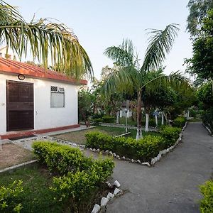 One-Bedroom Cottage